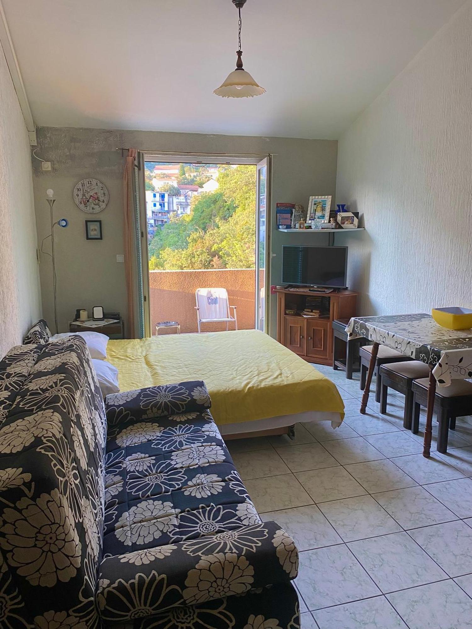 Rafailovici Apartment *